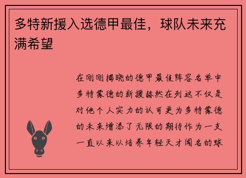 多特新援入选德甲最佳，球队未来充满希望
